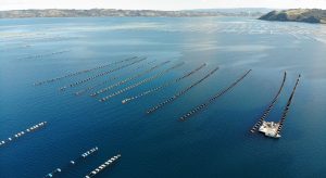 created by dji camera created by dji camera