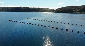 created by dji camera created by dji camera